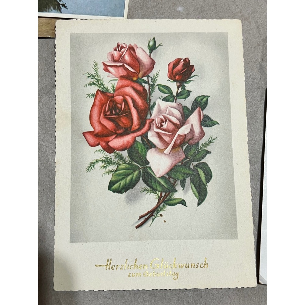 4x6 Vintage Postcards Multicolor German Landscapes Religious Floral Set - Picture 5 of 16